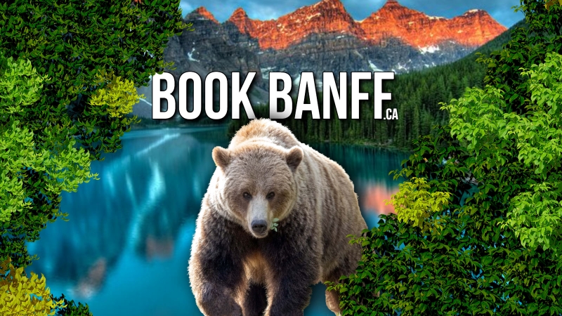 Banff Gondola